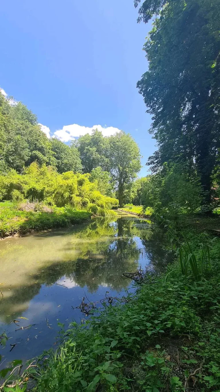 Un des ruisseaux qui traversent le parc du château